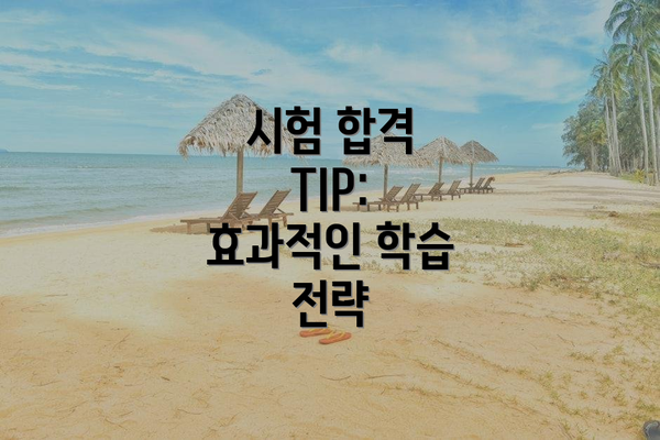 시험 합격 TIP: 효과적인 학습 전략
