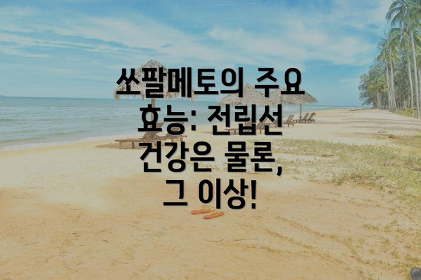 쏘팔메토의 주요 효능: 전립선 건강은 물론, 그 이상!