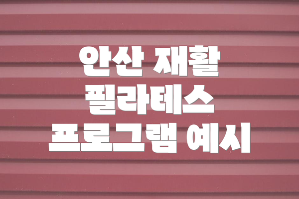 안산 재활 필라테스 프로그램 예시