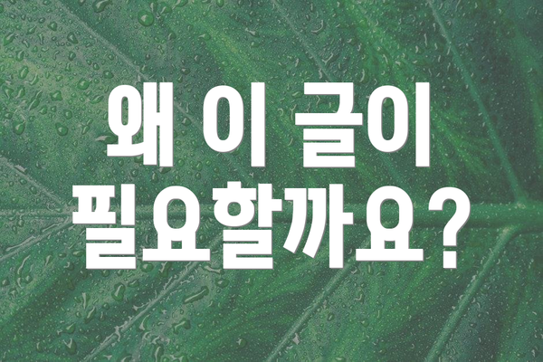 왜 이 글이 필요할까요?