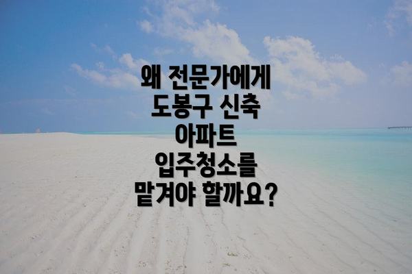 왜 전문가에게 도봉구 신축 아파트 입주청소를 맡겨야 할까요?