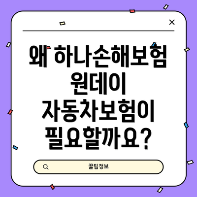 왜 하나손해보험 원데이 자동차보험이 필요할까요?