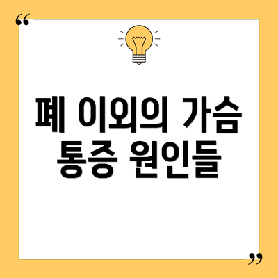 폐 이외의 가슴 통증 원인들