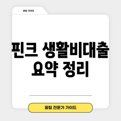핀크 생활비대출 요약 정리