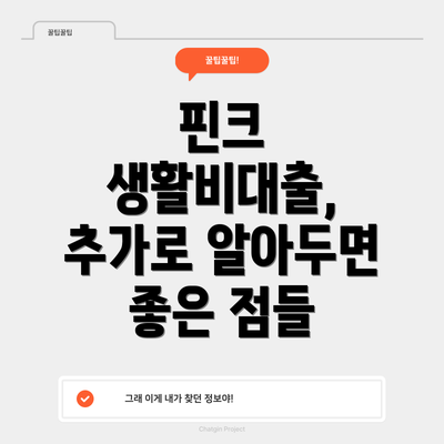 핀크 생활비대출, 추가로 알아두면 좋은 점들