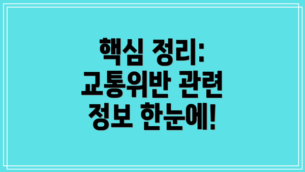 핵심 정리: 교통위반 관련 정보 한눈에!