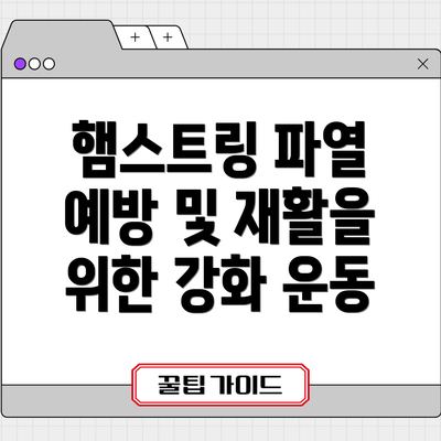 햄스트링 파열 예방 및 재활을 위한 강화 운동