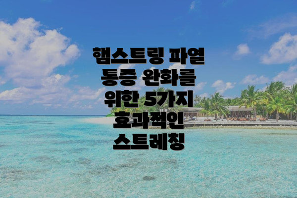 햄스트링 파열 통증 완화를 위한 5가지 효과적인 스트레칭