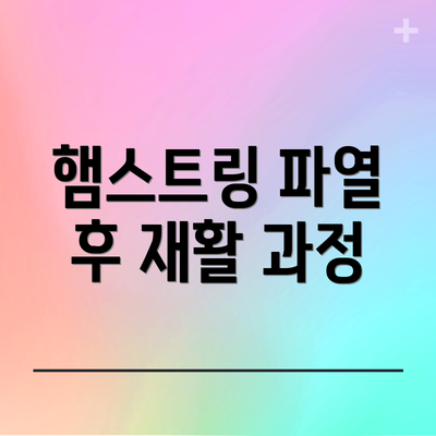 햄스트링 파열 후 재활 과정