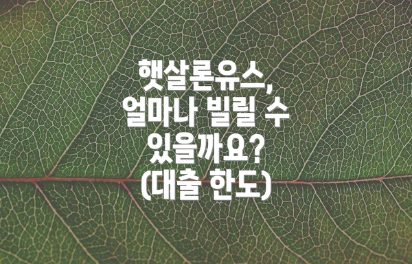 햇살론유스, 얼마나 빌릴 수 있을까요? (대출 한도)
