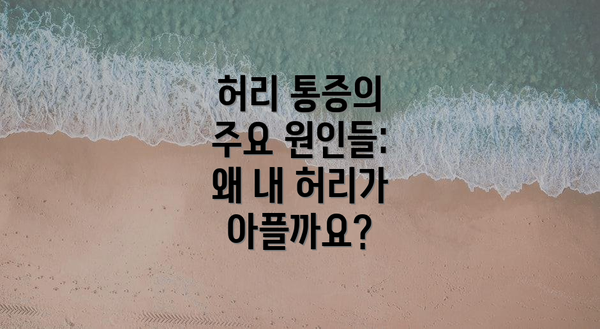 허리 통증의 주요 원인들: 왜 내 허리가 아플까요?