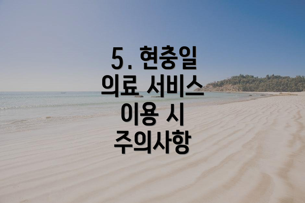 5. 현충일 의료 서비스 이용 시 주의사항