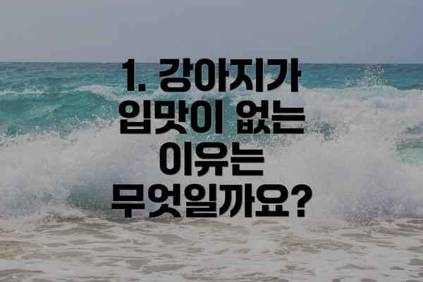 1. 강아지가 입맛이 없는 이유는 무엇일까요?