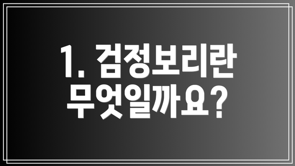 1. 검정보리란 무엇일까요?