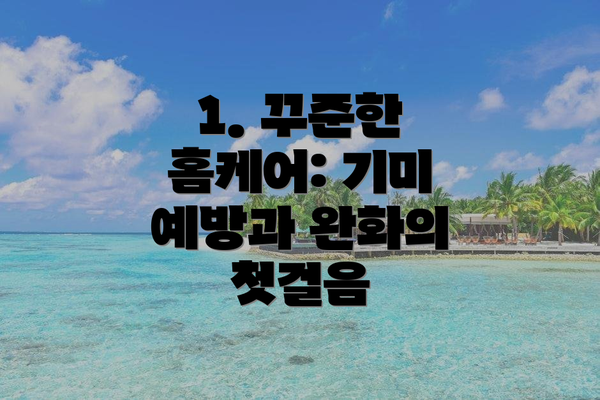 1. 꾸준한 홈케어: 기미 예방과 완화의 첫걸음