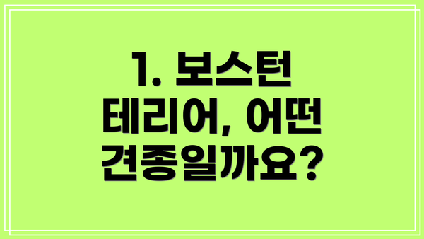 1. 보스턴 테리어, 어떤 견종일까요?