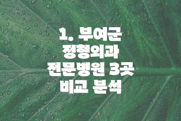 1. 부여군 정형외과 전문병원 3곳 비교 분석