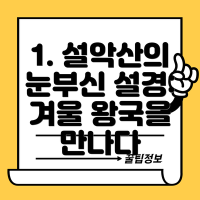 1. 설악산의 눈부신 설경: 겨울 왕국을 만나다