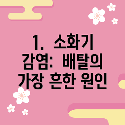 1. 소화기 감염: 배탈의 가장 흔한 원인