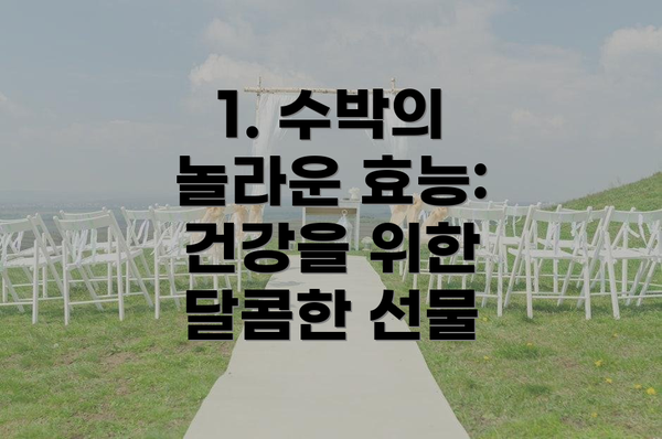 1. 수박의 놀라운 효능: 건강을 위한 달콤한 선물
