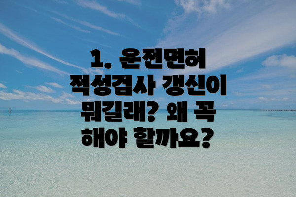 1. 운전면허 적성검사 갱신이 뭐길래? 왜 꼭 해야 할까요?