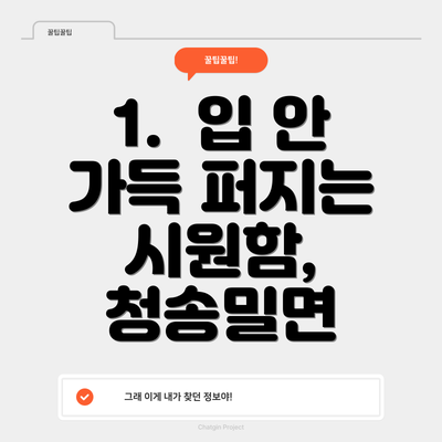 1.  입 안 가득 퍼지는 시원함, 청송밀면