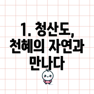 1. 청산도, 천혜의 자연과 만나다