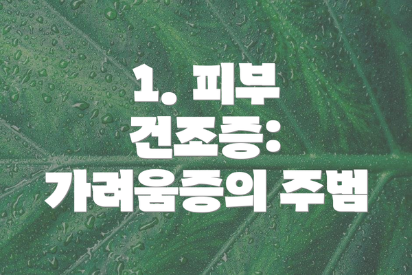 1. 피부 건조증: 가려움증의 주범