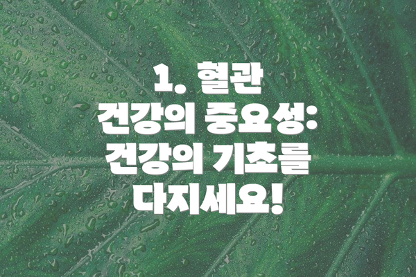1. 혈관 건강의 중요성: 건강의 기초를 다지세요!