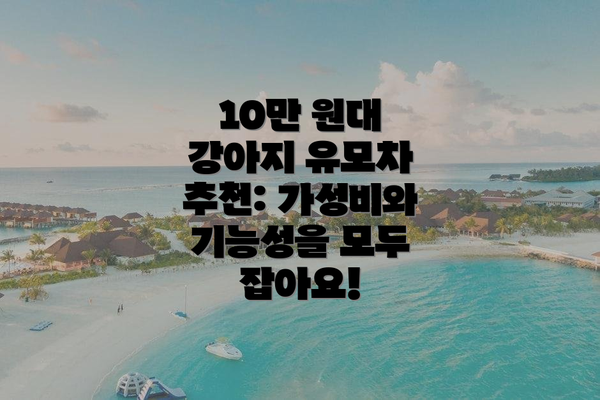 10만 원대 강아지 유모차 추천: 가성비와 기능성을 모두 잡아요!