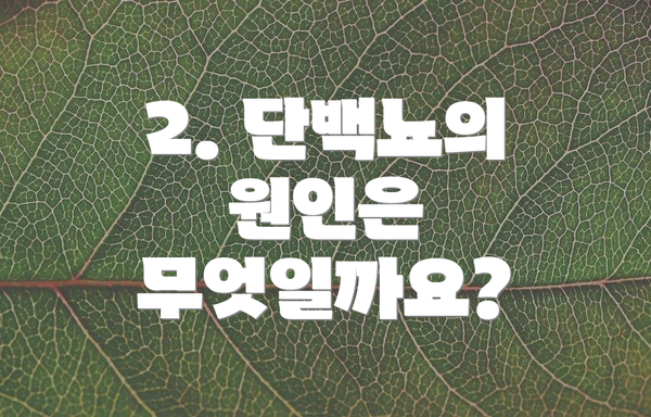 2. 단백뇨의 원인은 무엇일까요?