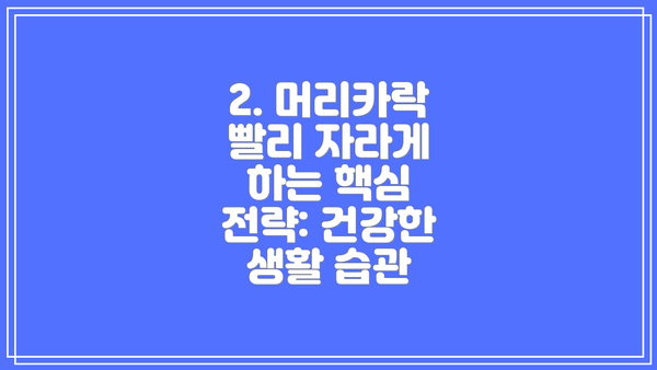 2. 머리카락 빨리 자라게 하는 핵심 전략: 건강한 생활 습관