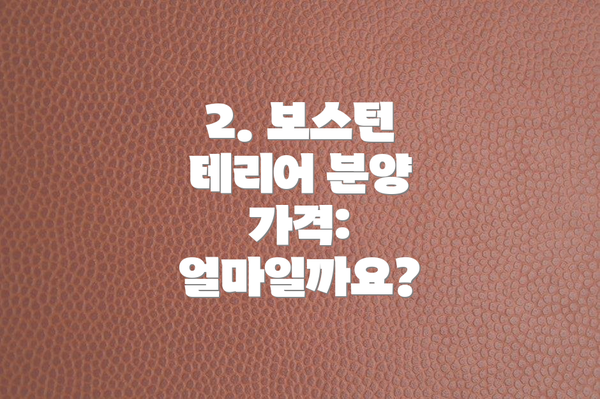 2. 보스턴 테리어 분양 가격: 얼마일까요?