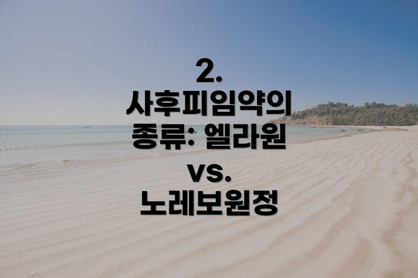 2. 사후피임약의 종류: 엘라원 vs. 노레보원정