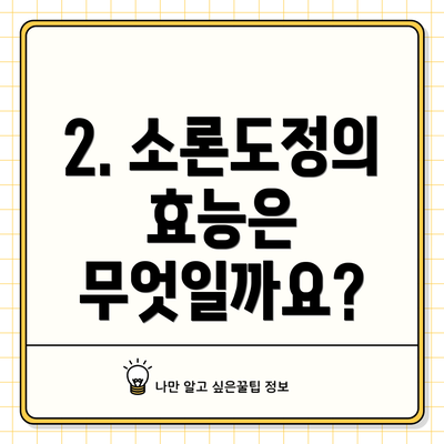 2. 소론도정의 효능은 무엇일까요?