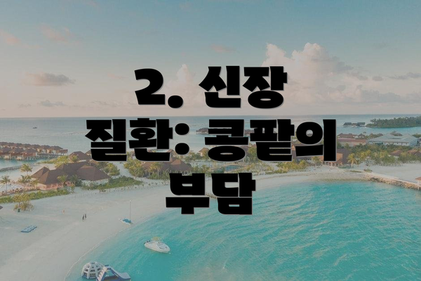 2. 신장 질환: 콩팥의 부담