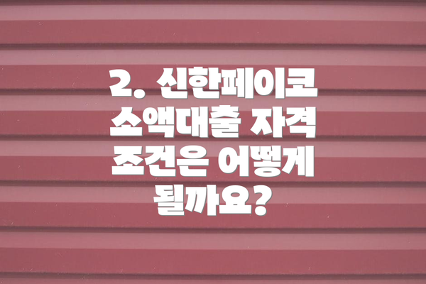 2. 신한페이코 소액대출 자격 조건은 어떻게 될까요?