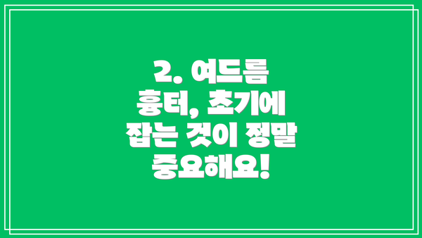 2. 여드름 흉터, 초기에 잡는 것이 정말 중요해요!