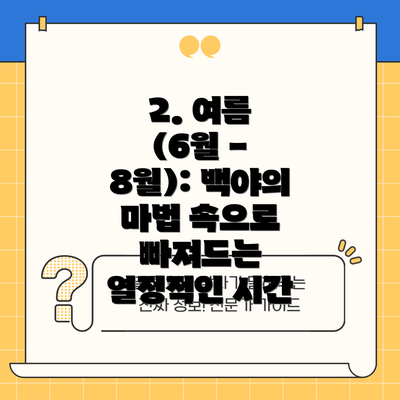 2. 여름 (6월 - 8월): 백야의 마법 속으로 빠져드는 열정적인 시간