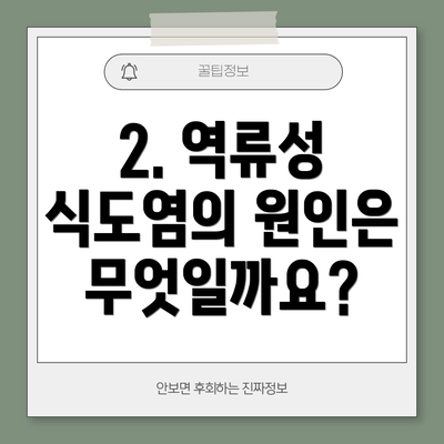 2. 역류성 식도염의 원인은 무엇일까요?