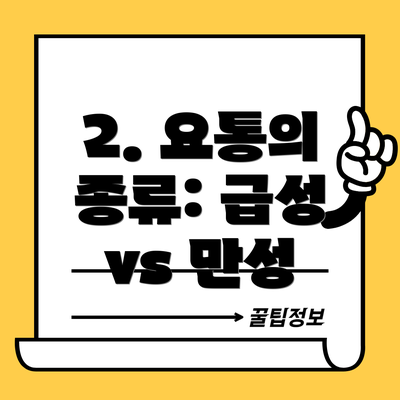 2. 요통의 종류: 급성 vs 만성
