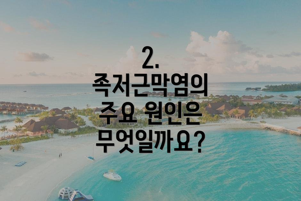 2. 족저근막염의 주요 원인은 무엇일까요?