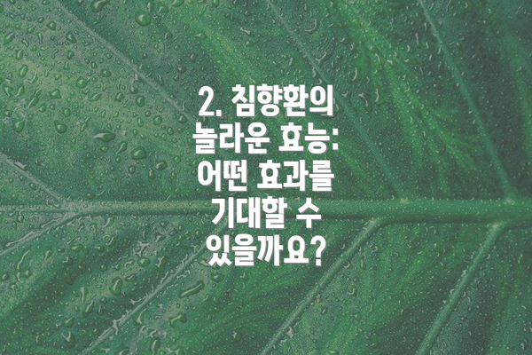 2. 침향환의 놀라운 효능: 어떤 효과를 기대할 수 있을까요?
