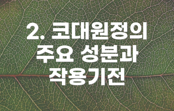 2. 코대원정의 주요 성분과 작용기전