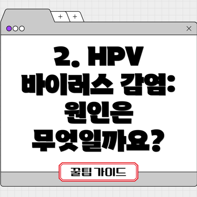 2. HPV 바이러스 감염: 원인은 무엇일까요?
