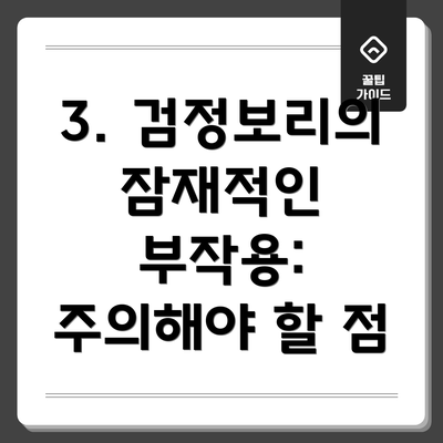 3. 검정보리의 잠재적인 부작용: 주의해야 할 점