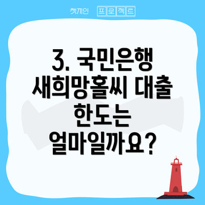 3. 국민은행 새희망홀씨 대출 한도는 얼마일까요?
