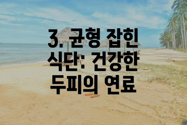 3. 균형 잡힌 식단: 건강한 두피의 연료