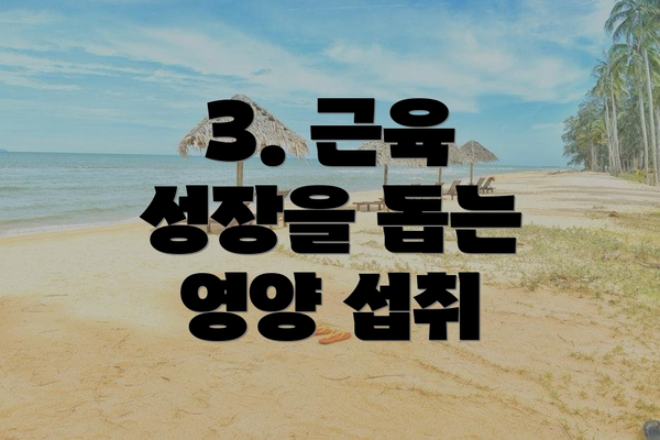 3. 근육 성장을 돕는 영양 섭취