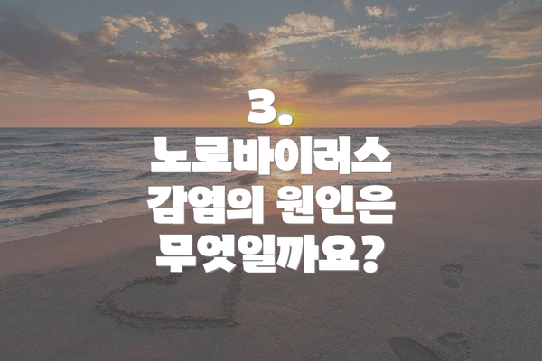3. 노로바이러스 감염의 원인은 무엇일까요?